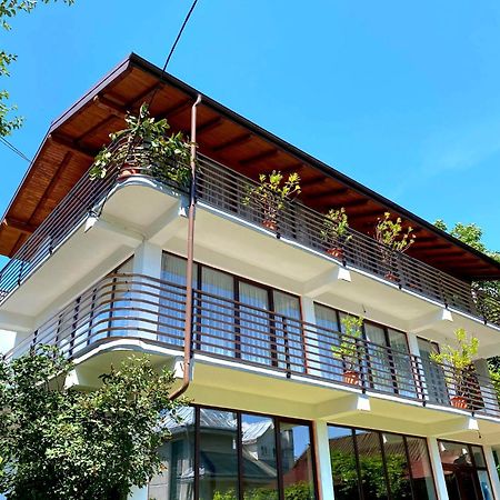 Casa Ionut Hotel Borsa  Ngoại thất bức ảnh
