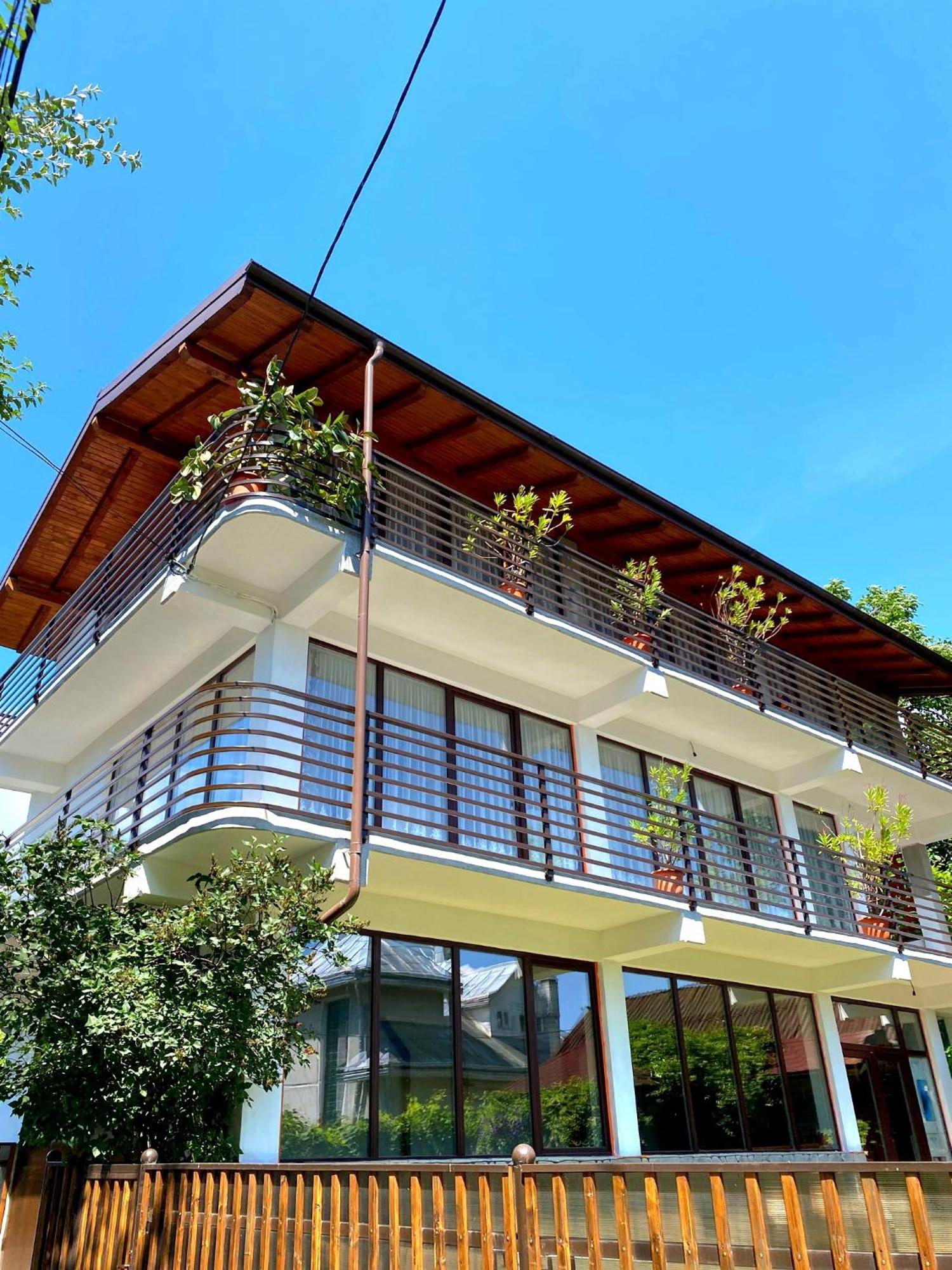Casa Ionut Hotel Borsa  Ngoại thất bức ảnh